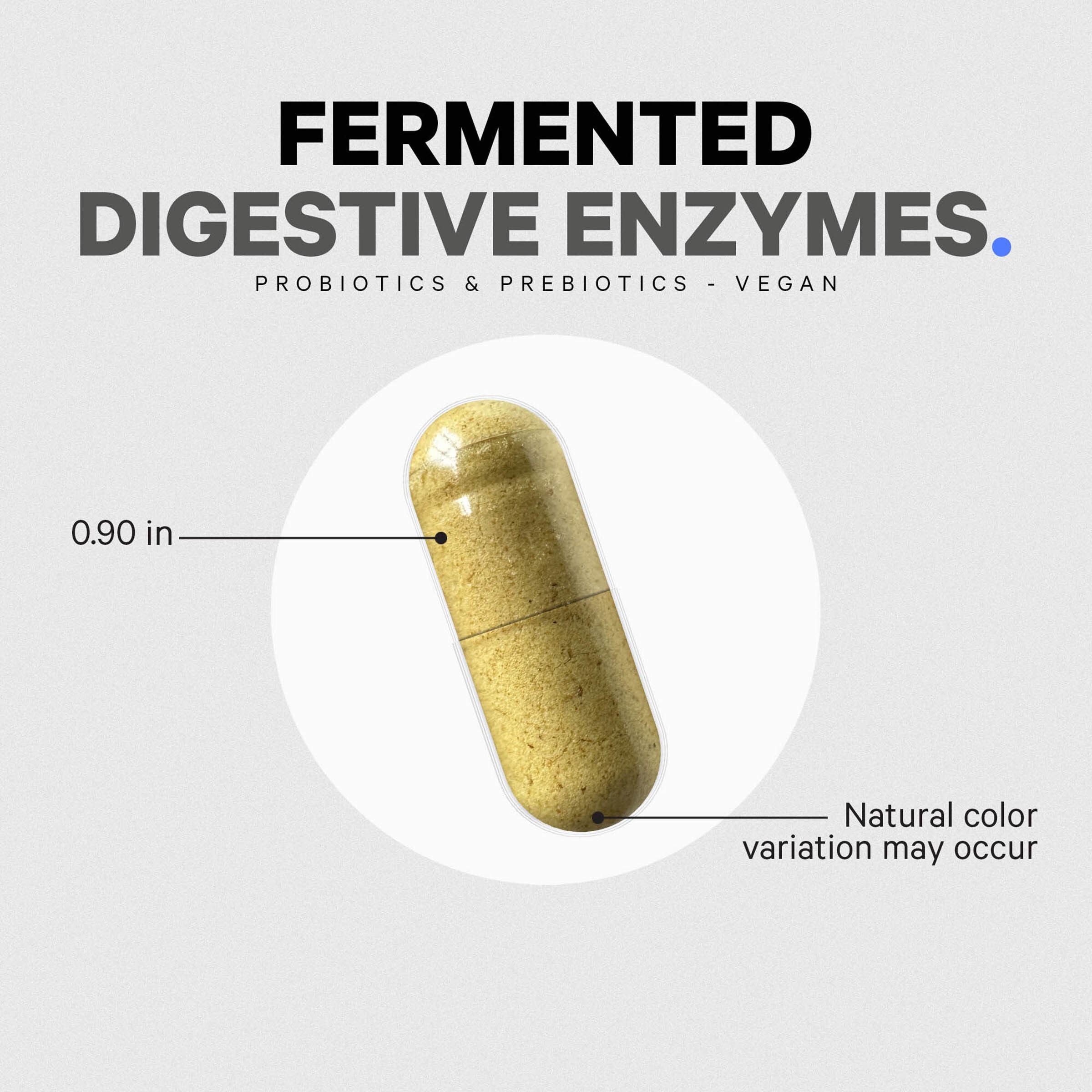Fermented Digestive Enzymes with Probiotics & Prebiotics - 90 Capsules (90 Servings)